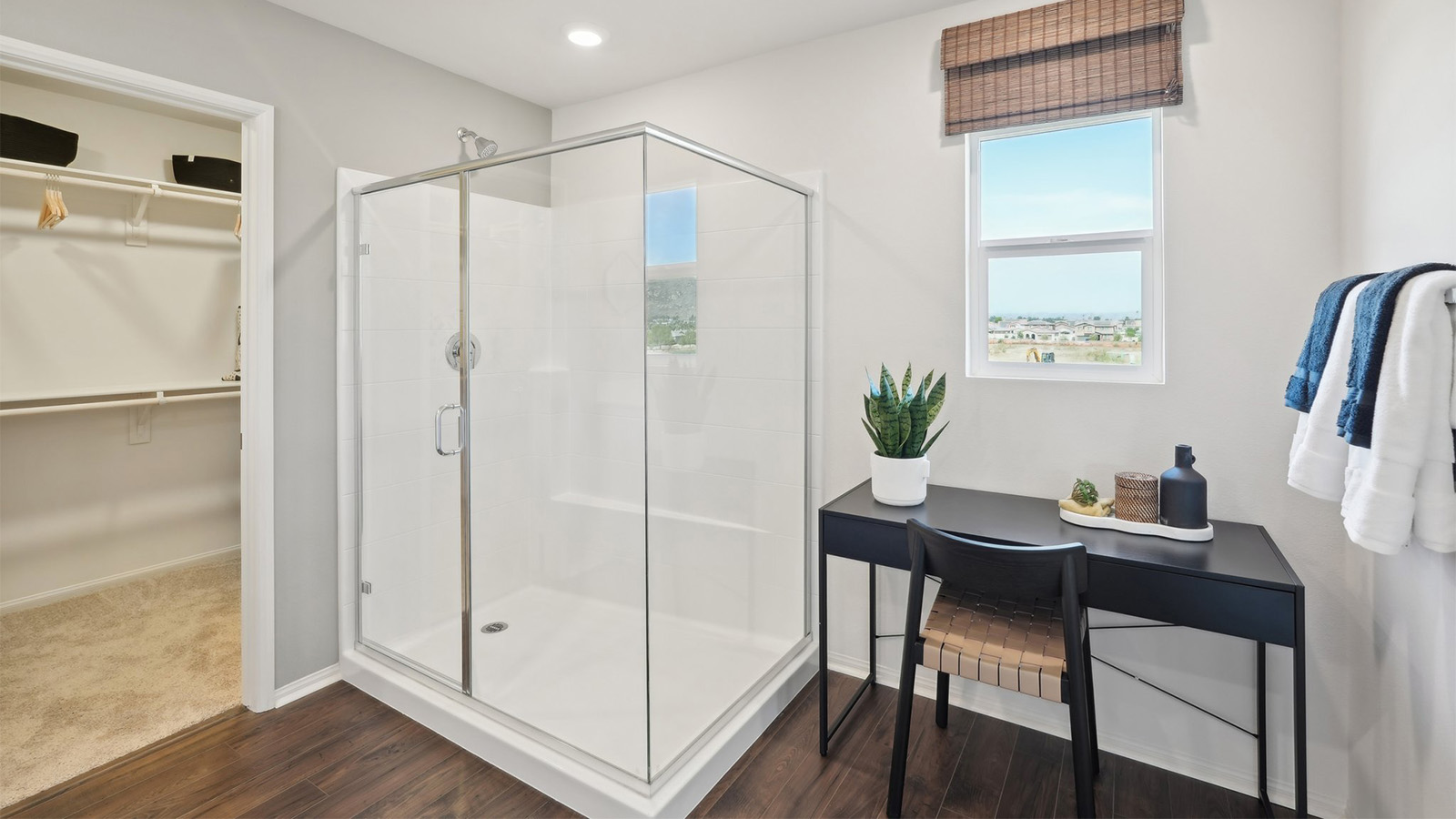 primary bathroom with shower