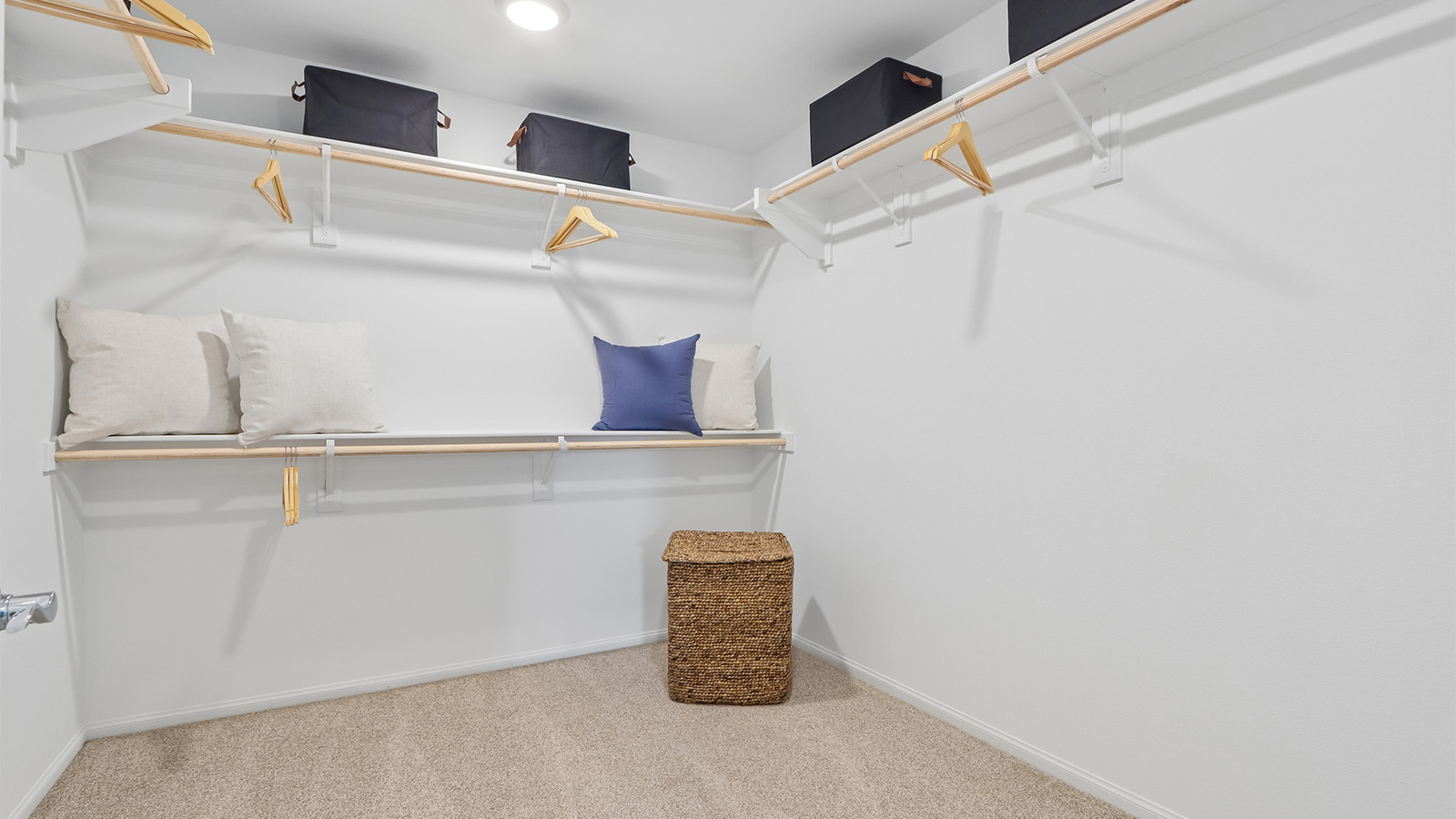 Primary closet