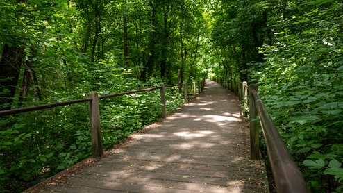 Silver Comet Trail
