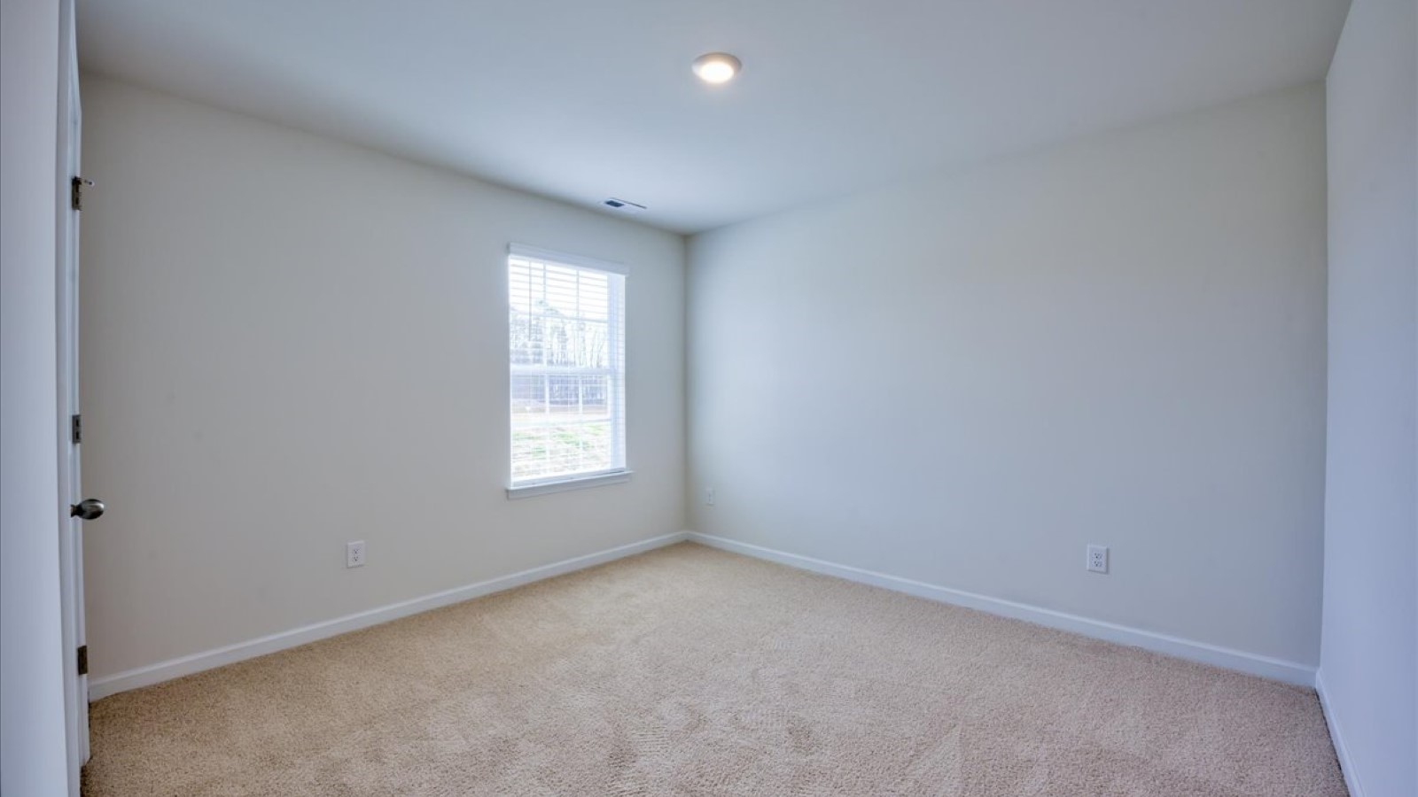 Bedroom with carpet flooring