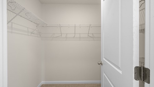 primary walk in closet with carpet flooring and built in wire shelving
