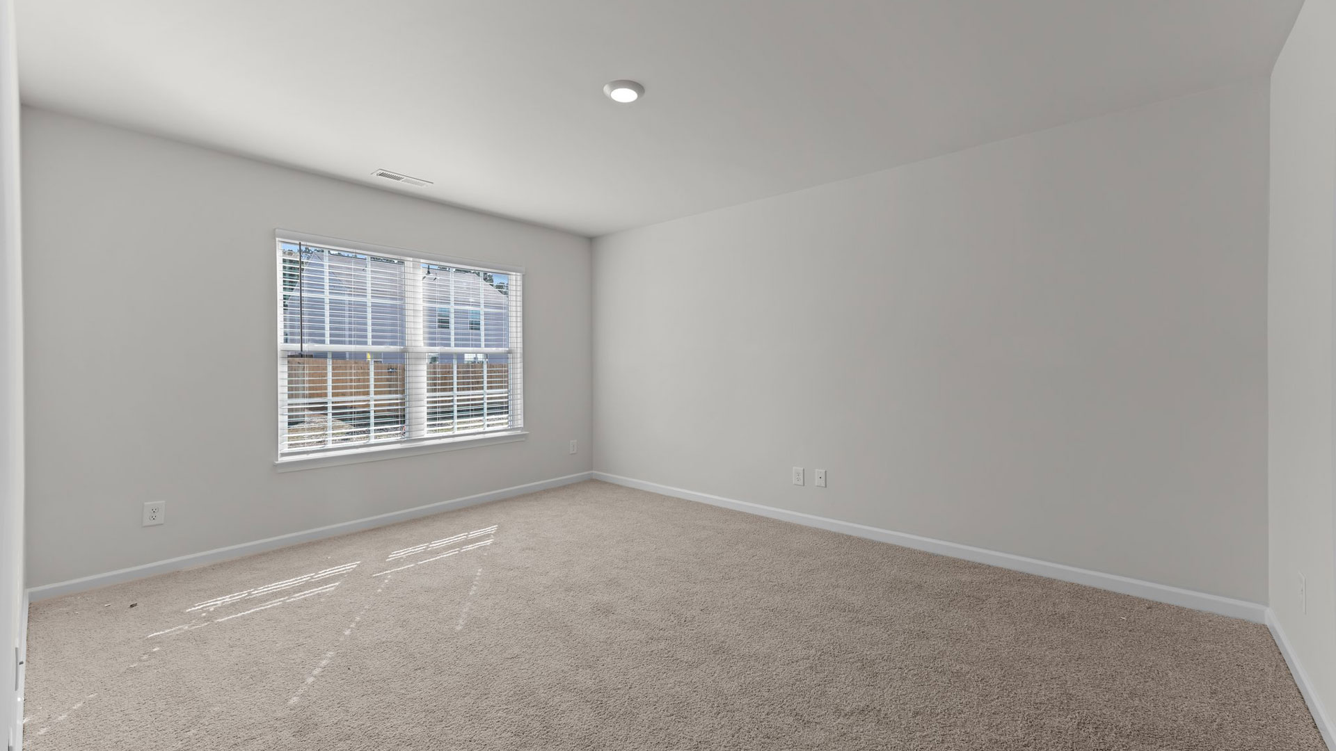 Primary bedroom with carpet flooring