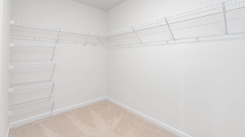 large primary walk in closet with carpet flooring and built in wire shelving