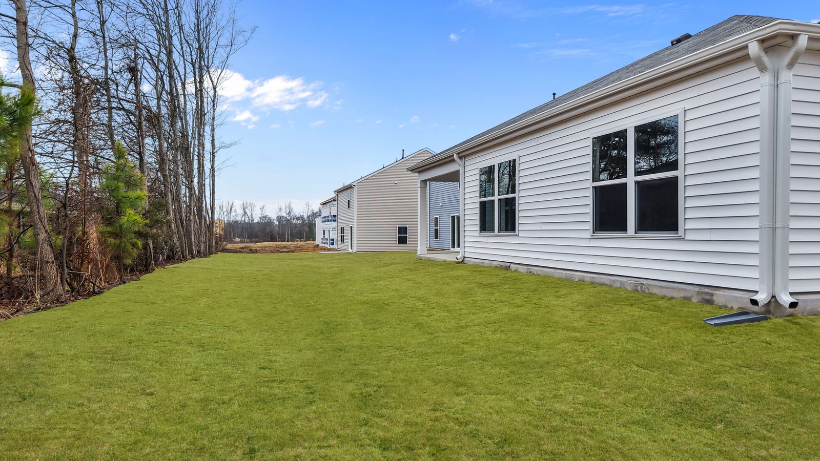 rear exterior of home