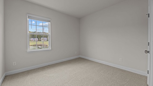 bedroom with carpet flooring