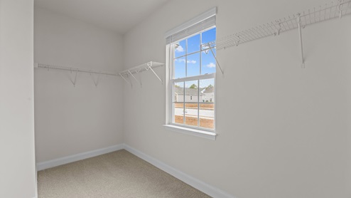 walk in closet with carpet