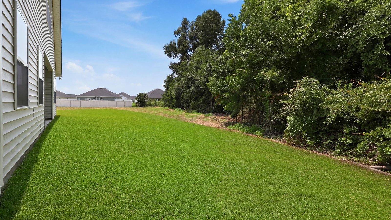 rear view of back yard