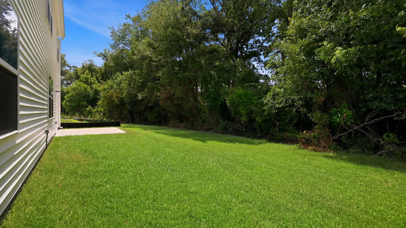 back yard view