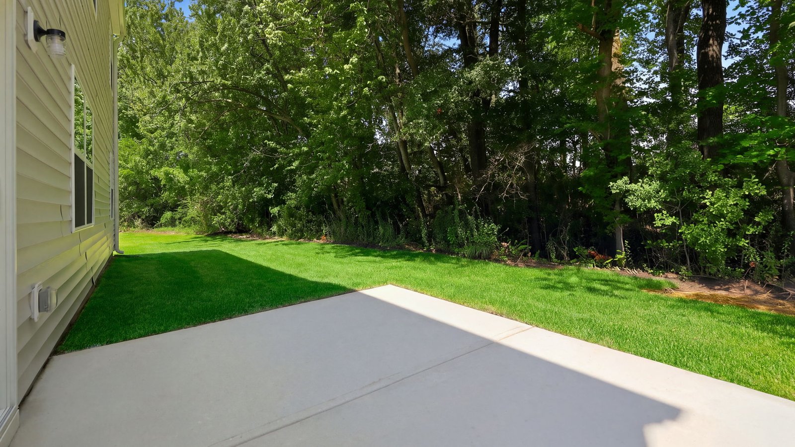 back yard and back patio pad