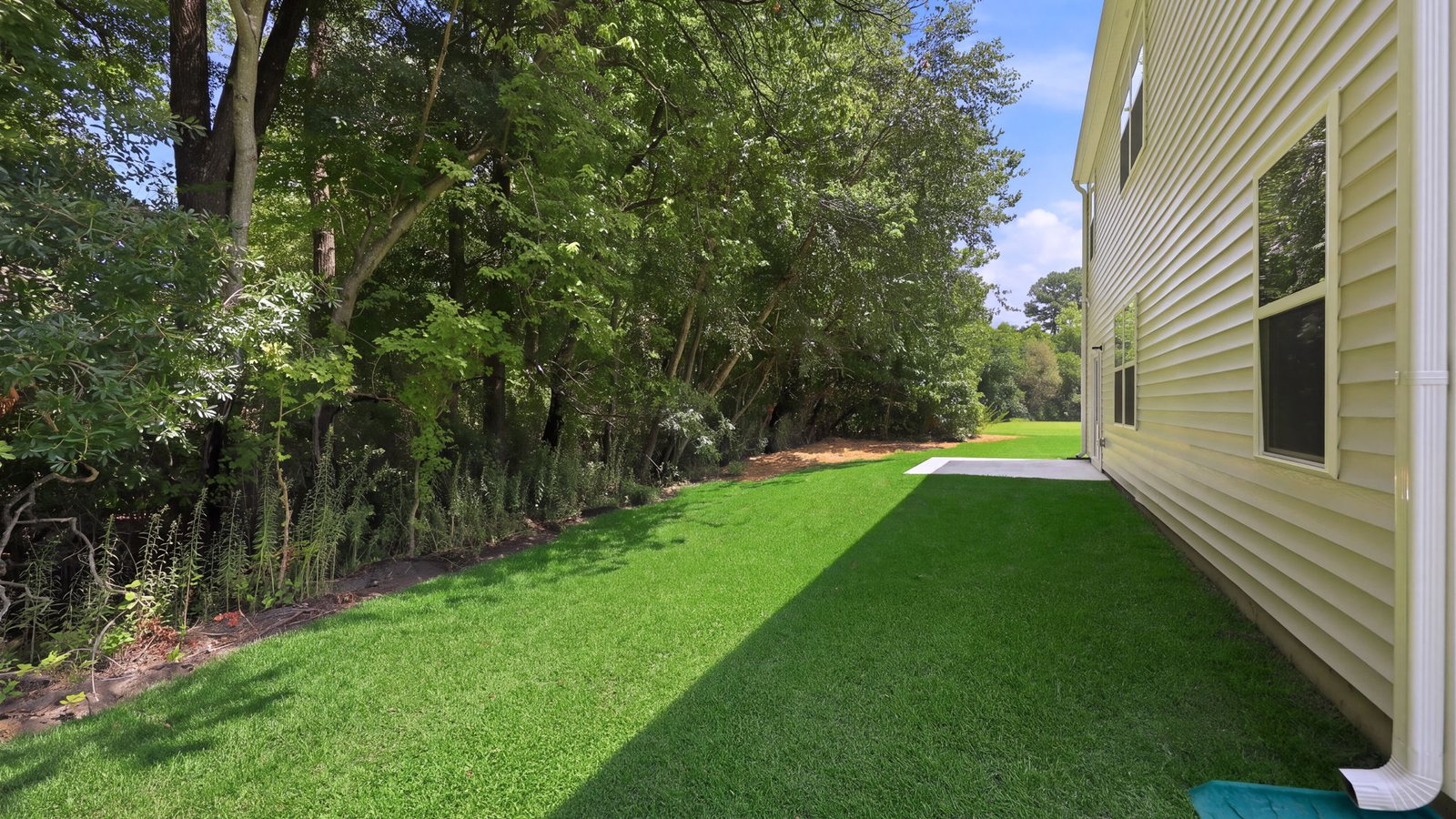 view of back yard