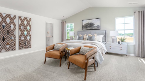 Primary bedroom with vaulted ceilings.