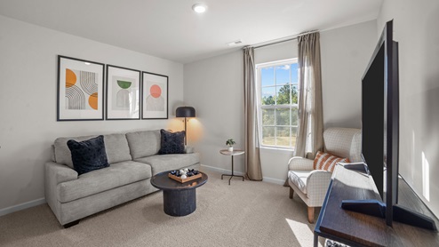 loft area with carpet flooring