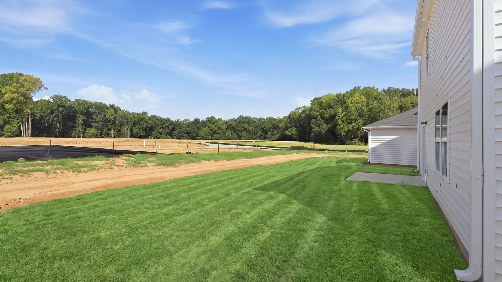 view of back yard of two story home