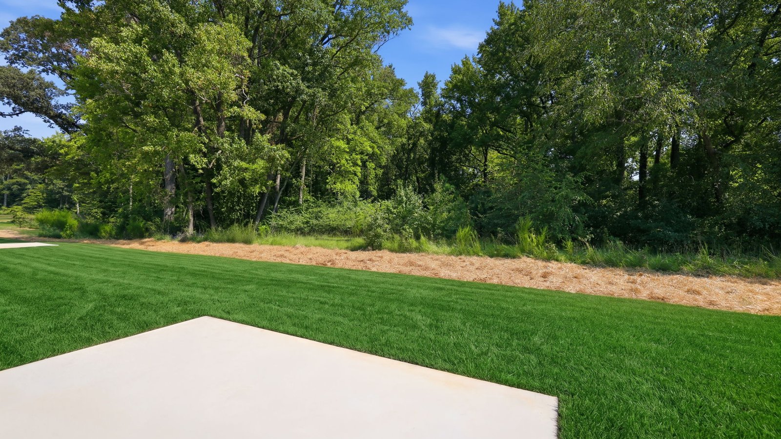 back yard and back patio pad