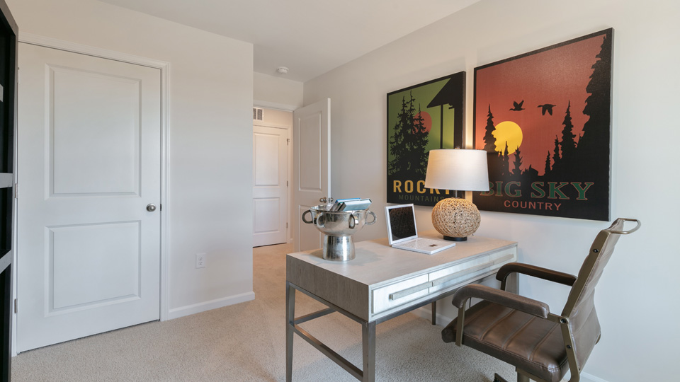 Bedroom/office