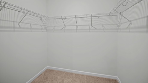 Walk in closet with carpet flooring and built in wire shelving