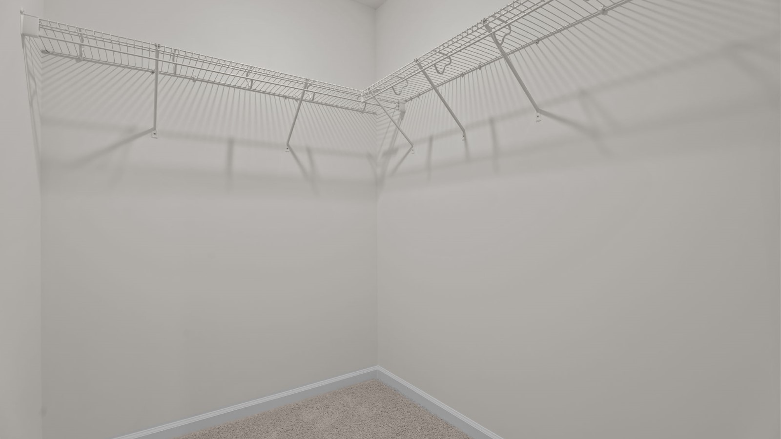 closet with ample storage