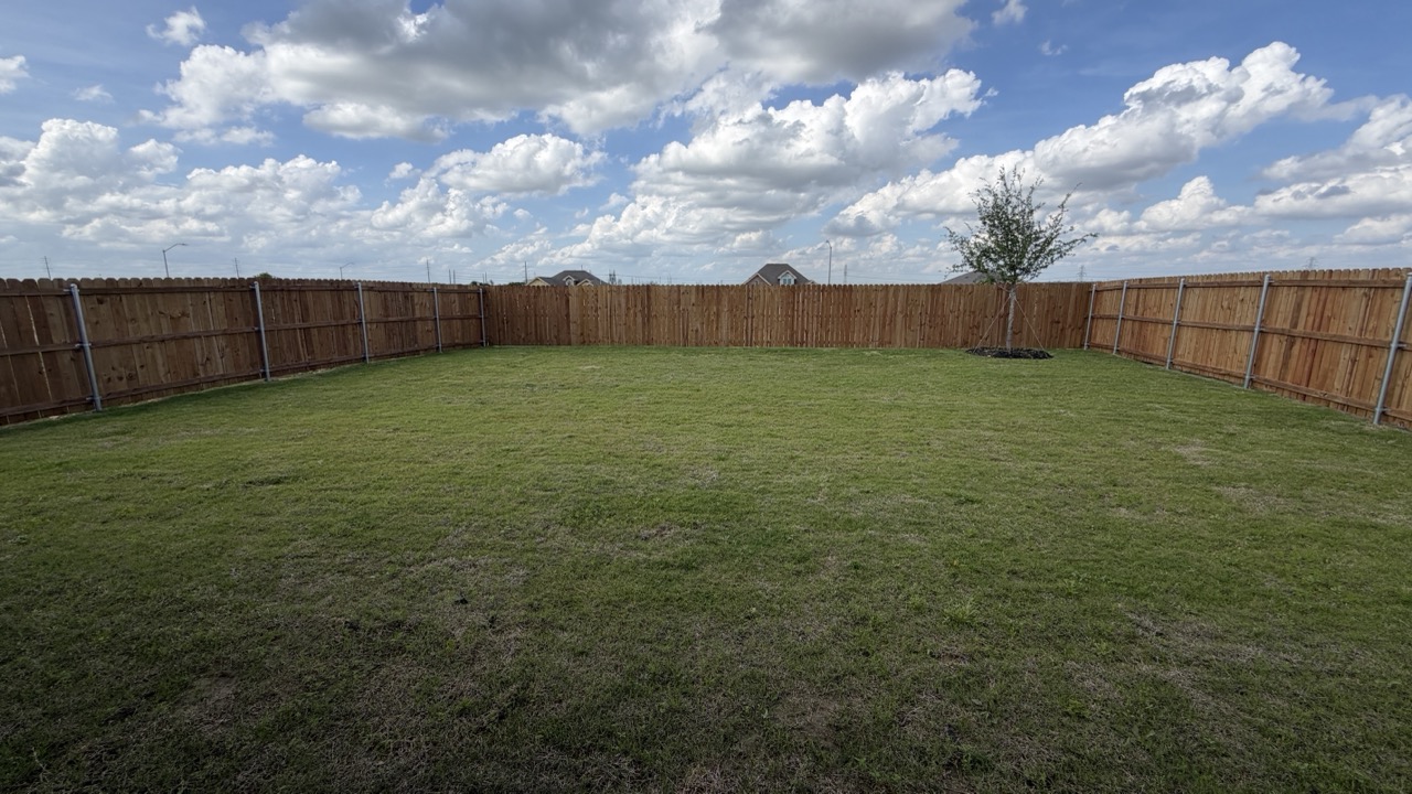Backyard