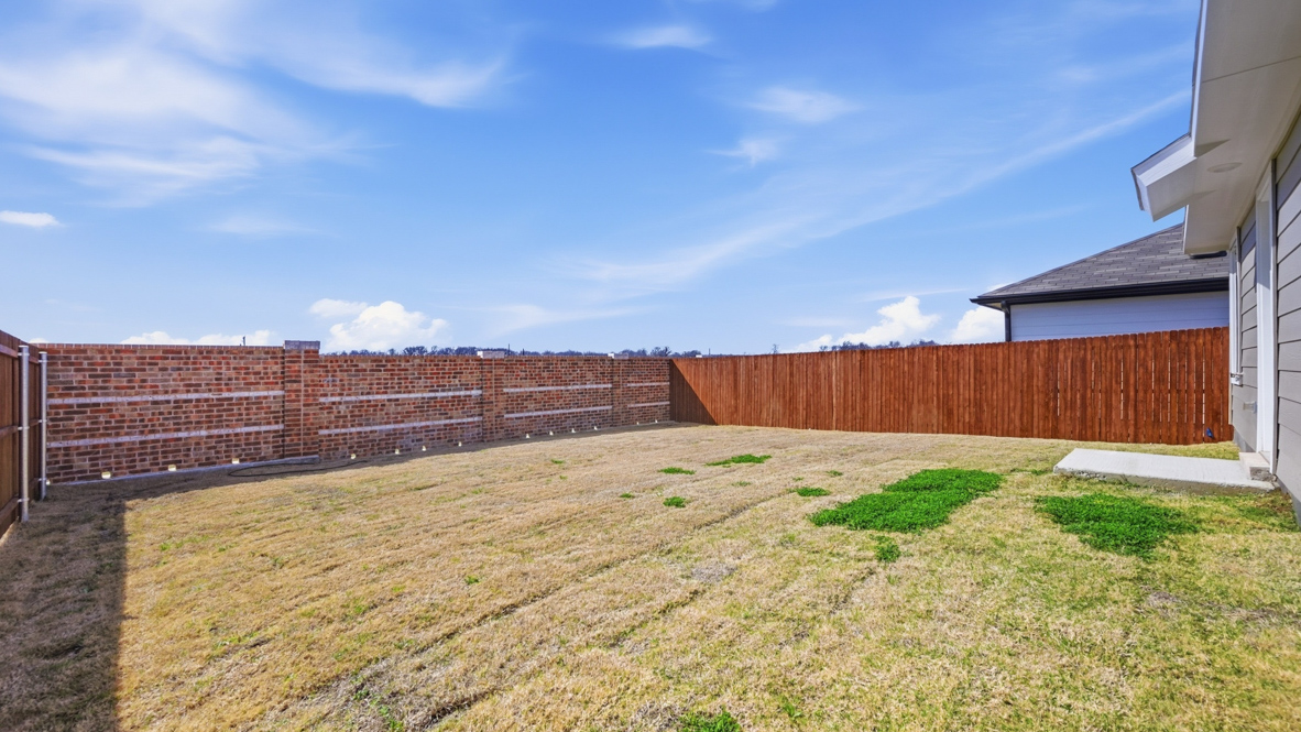 Back Yard