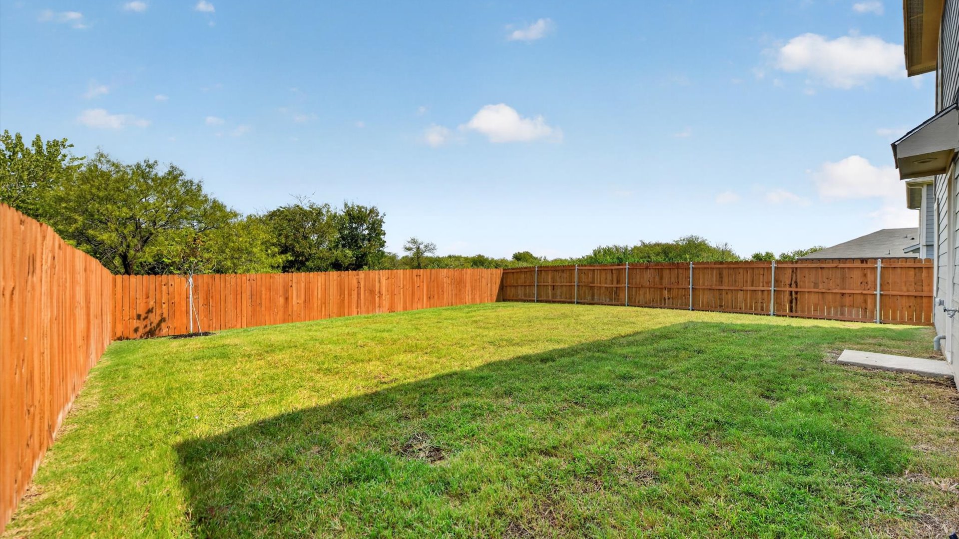 Spacious backyard