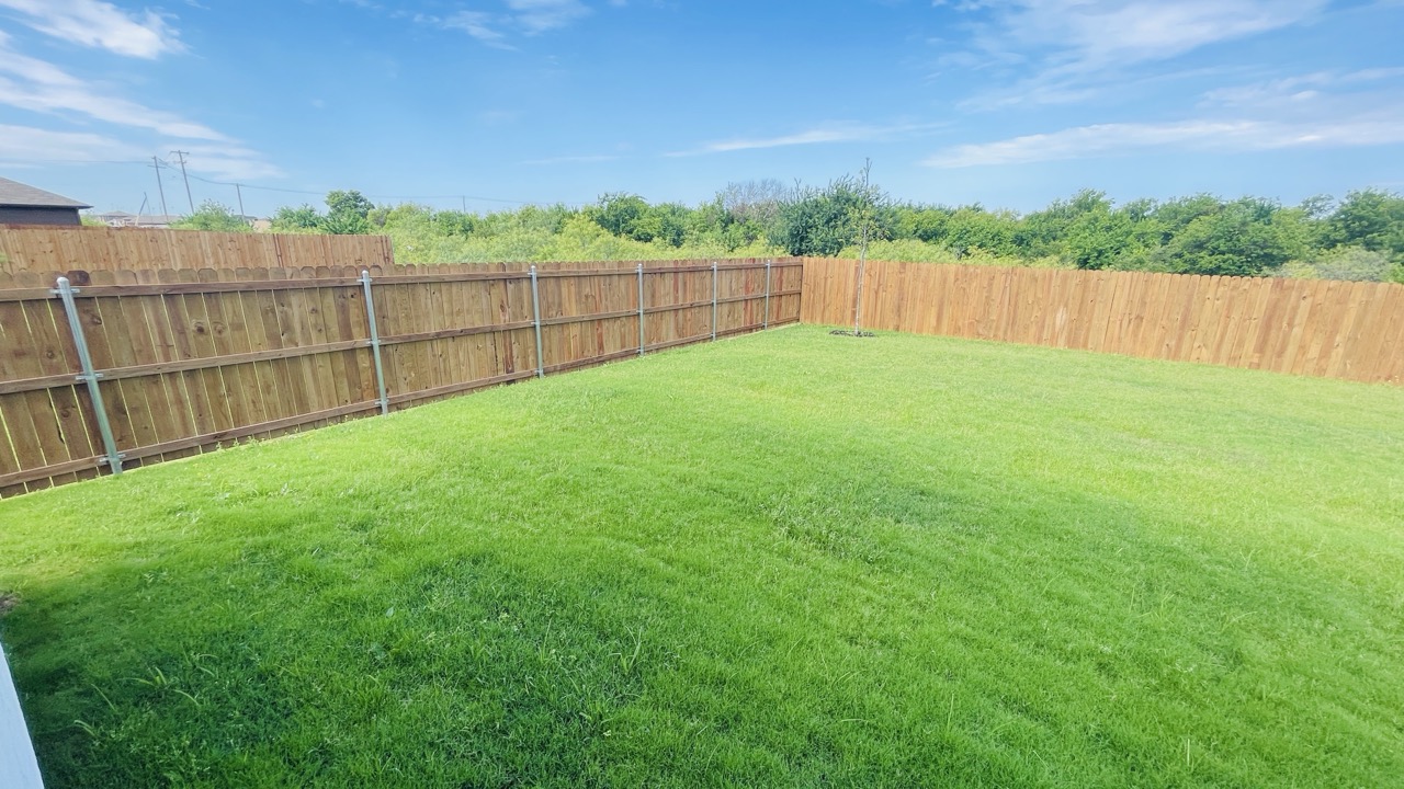 Yard