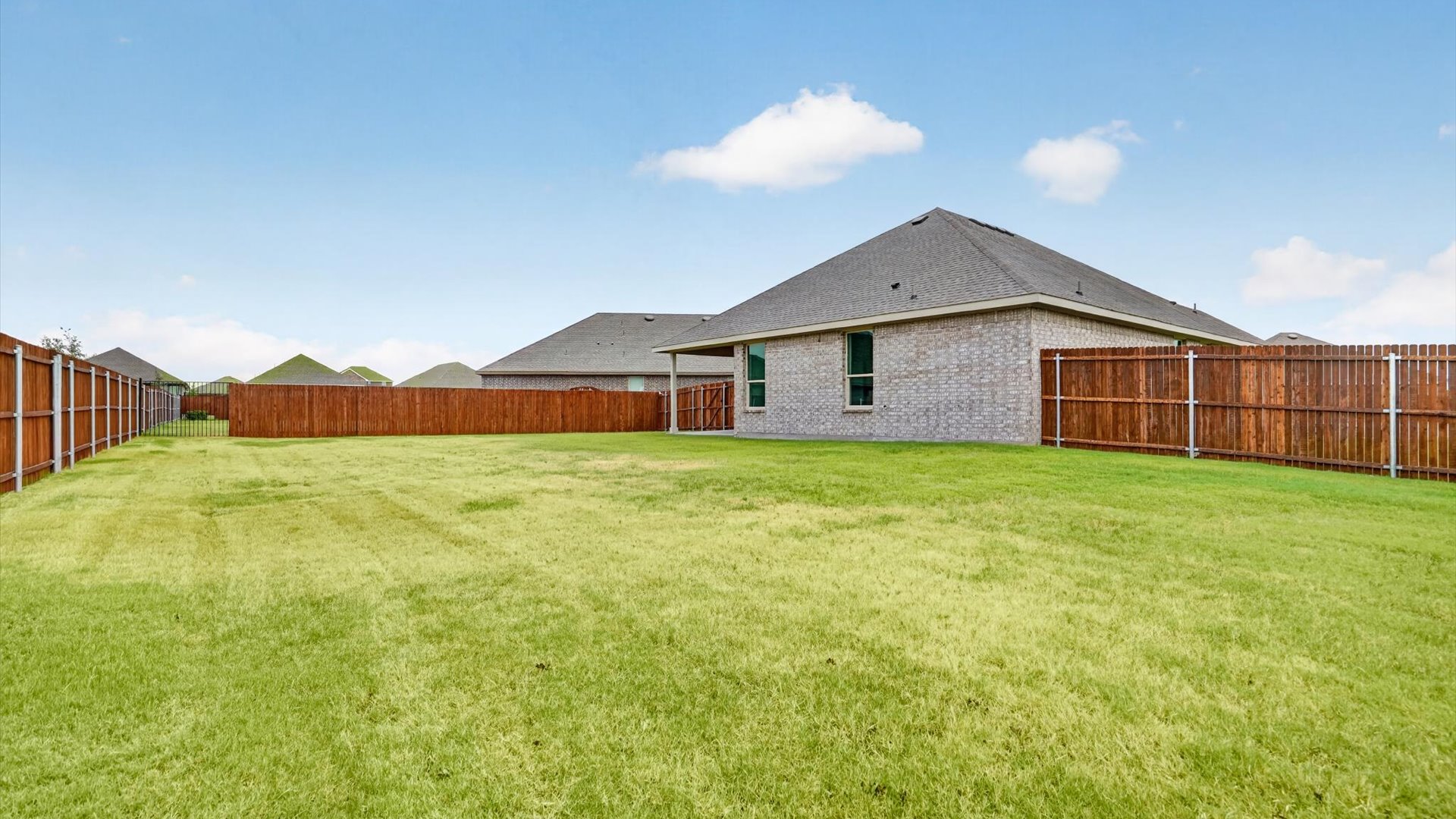 Open backyard