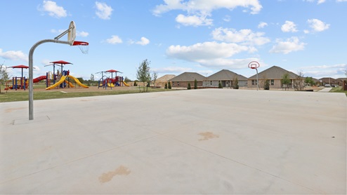 Basketball court