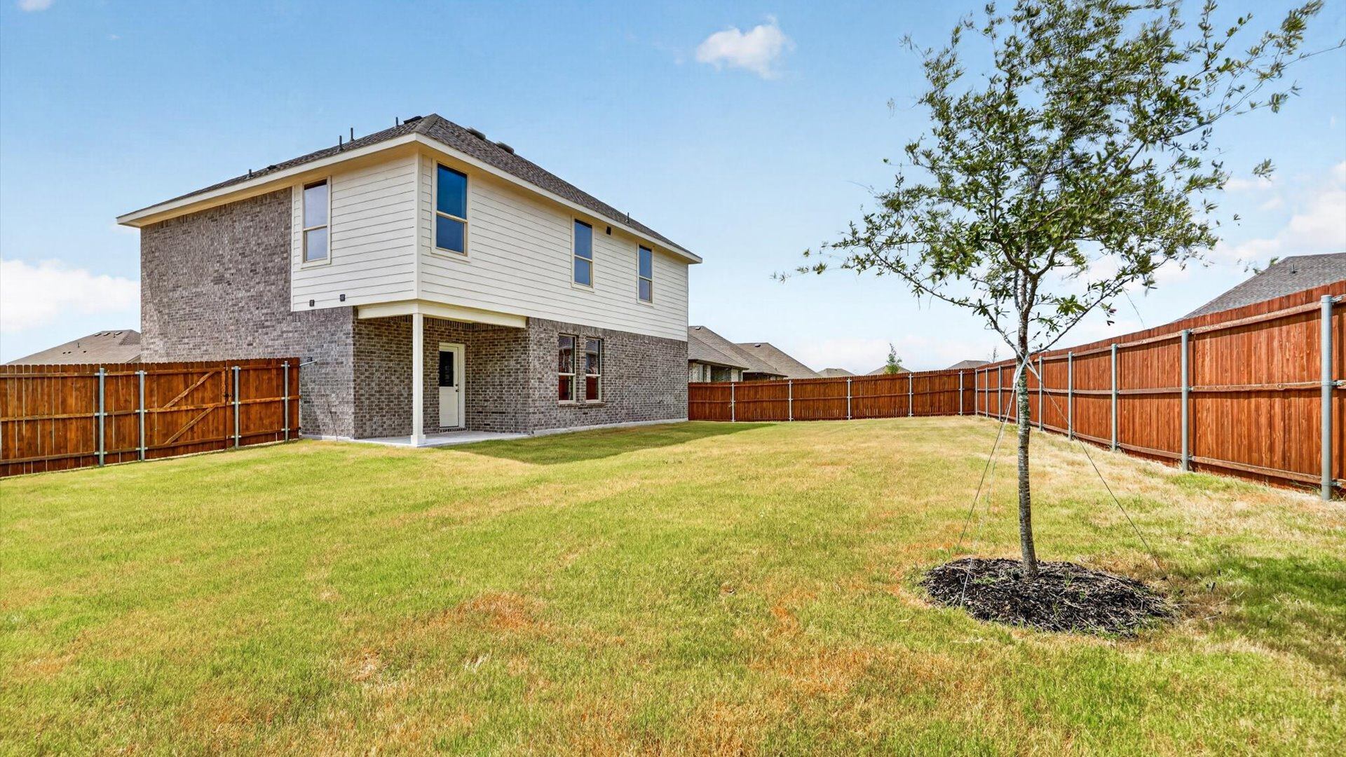 Spacious backyard
