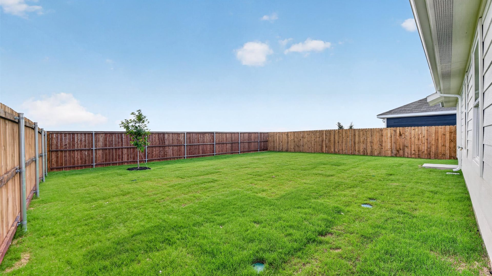 Spacious backyard