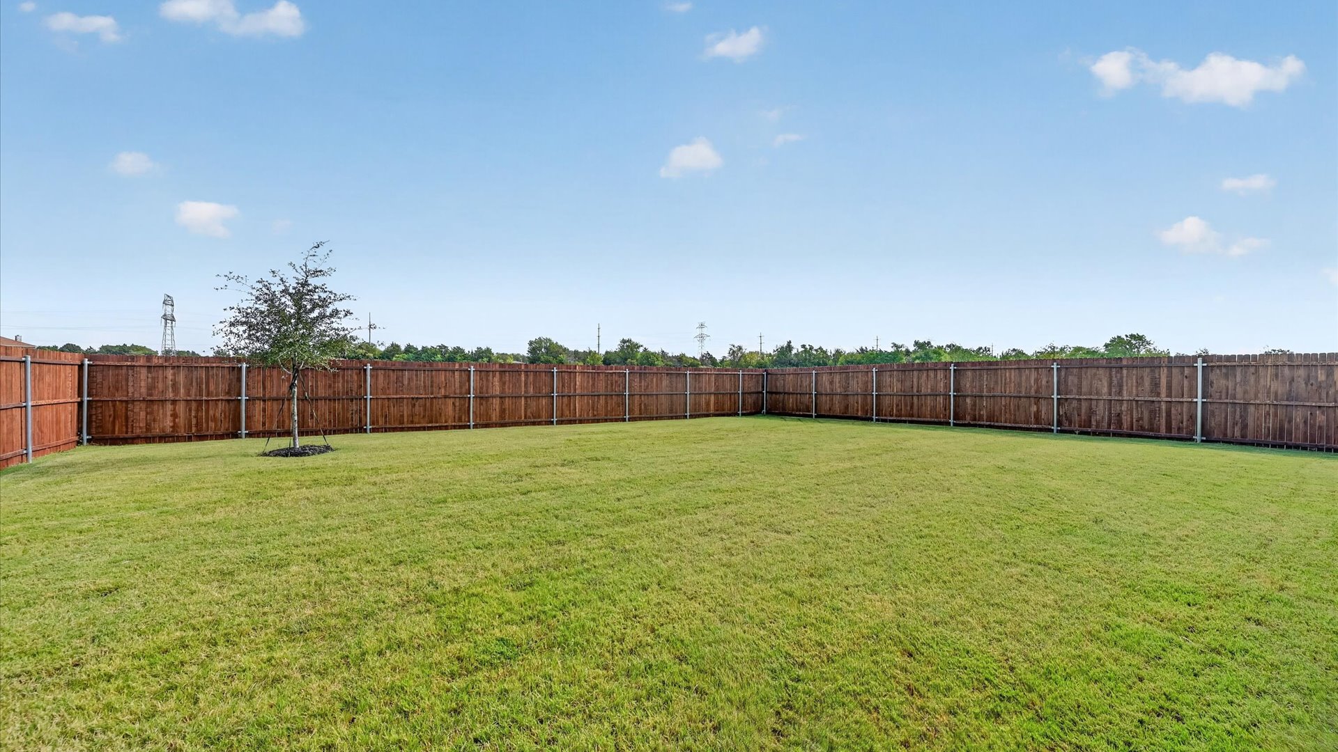Spacious backyard