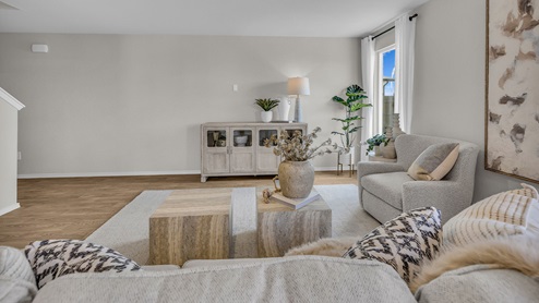 Living room with vinyl flooring, one window, and a half lite exterior door.