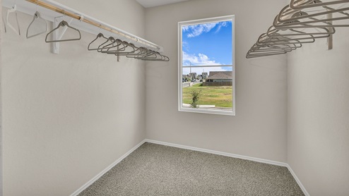 Main bedroom closet with carpeting, wooden shelving, and one window.