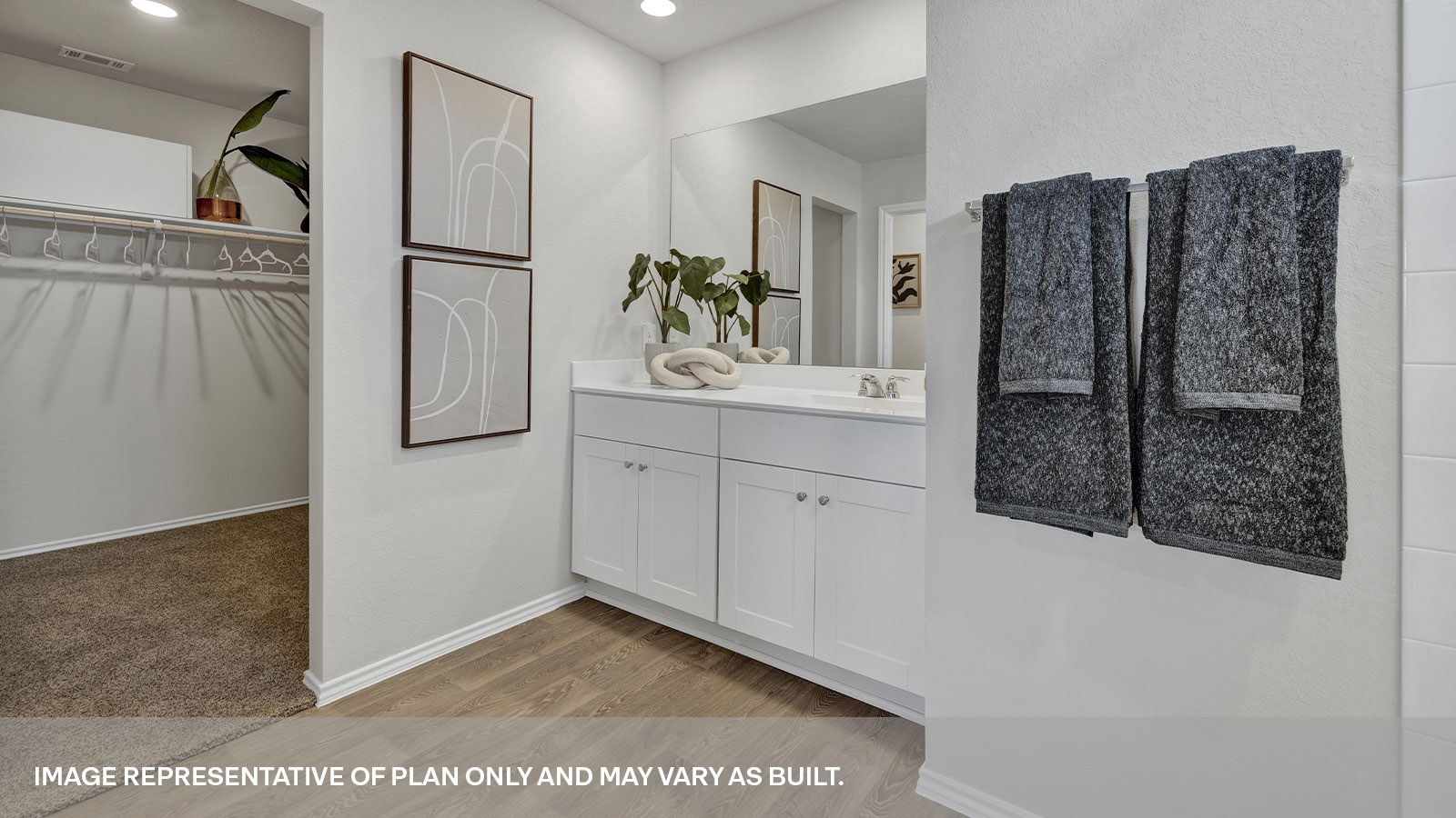 Main bathroom vanity and closet.