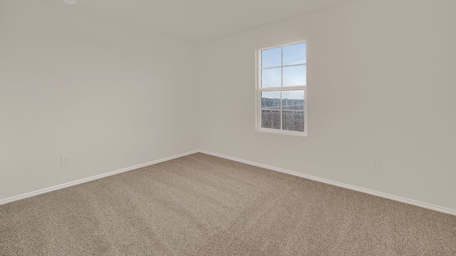 Secondary bedroom with carpeting and one window.