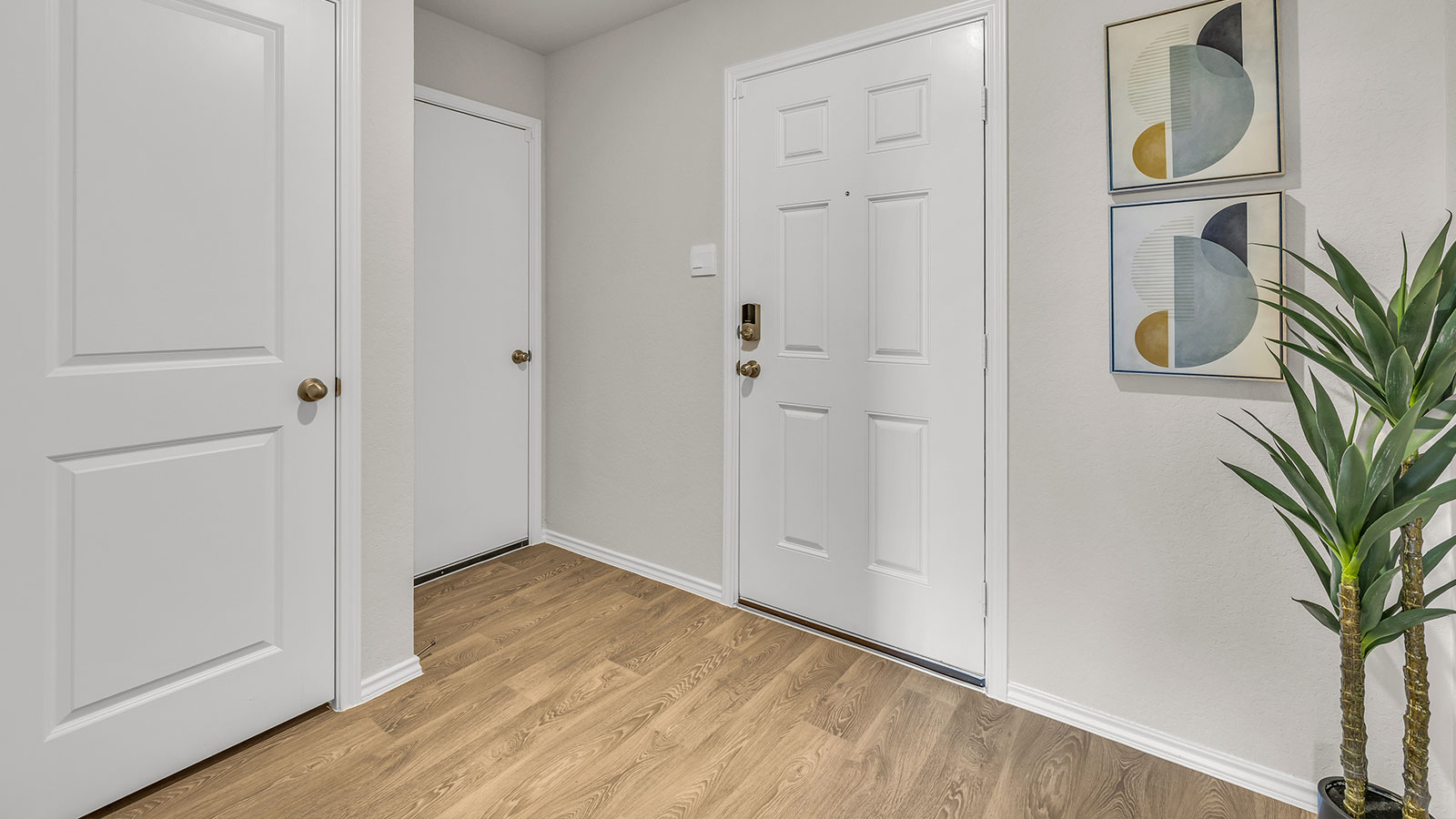 Entryway with vinyl flooring and front door.