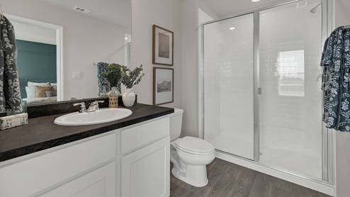 Main bathroom with large walk-in shower with glass door, toilet and a single sink vanity.