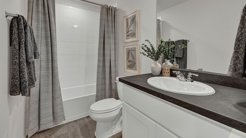 Bathroom 2 with shower and tub, toilet and a single sink vanity.