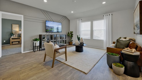 Living room with vinyl flooring and two windows.