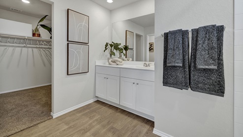 Single sink vanity with white cabinets and closet entry.