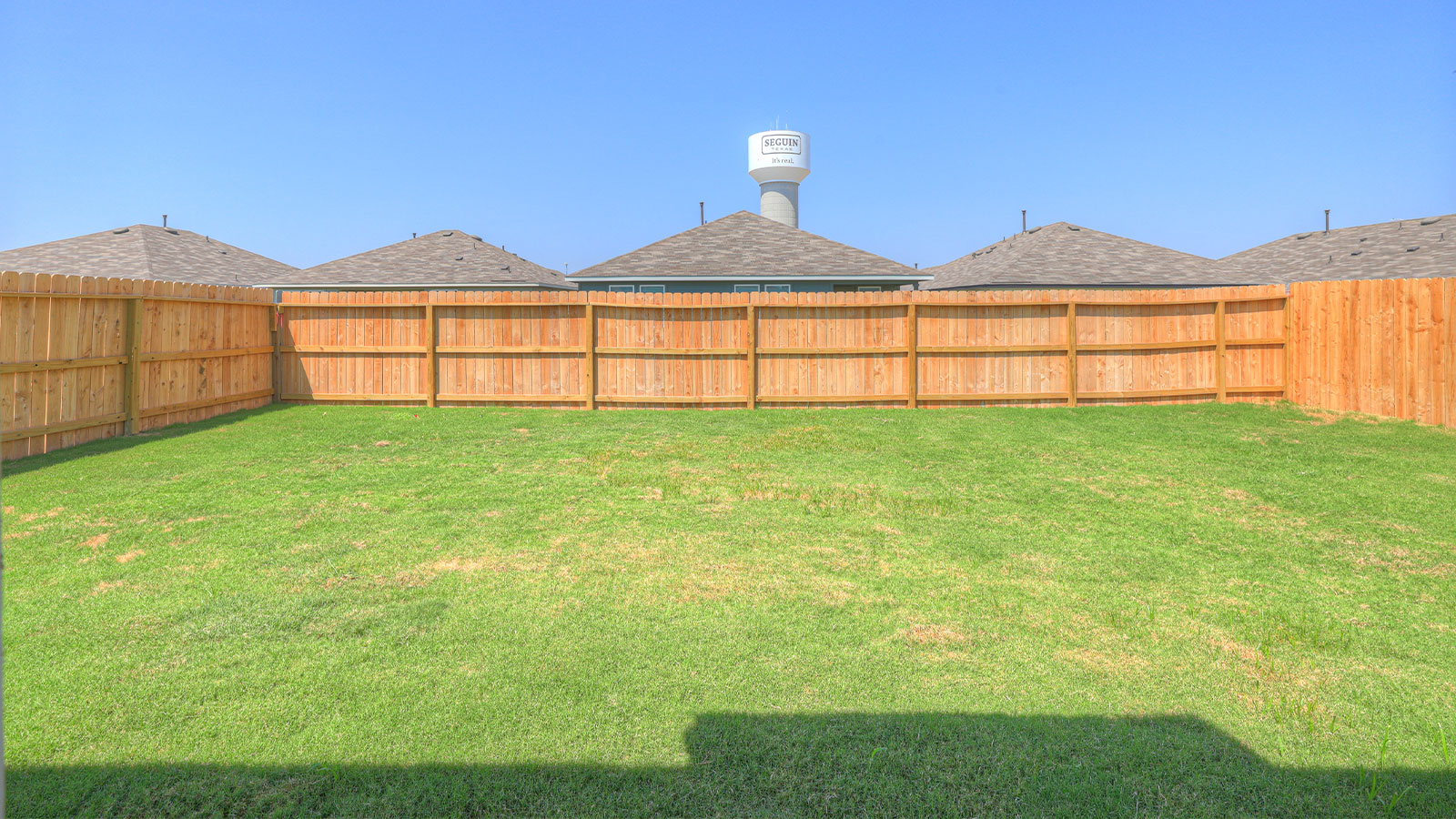 Backyard with 2 windows, and a half lite exterior door.