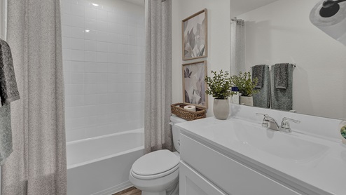 125 Silent Bird Model Bath2