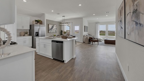 125 Silent Bird Model KitchenLivingDining