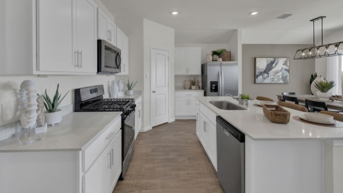 125 Silent Bird Model KitchenLivingDining