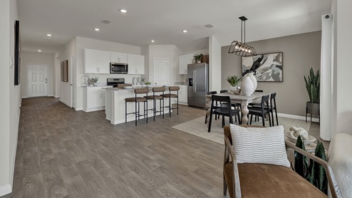 125 Silent Bird Model KitchenLivingDining