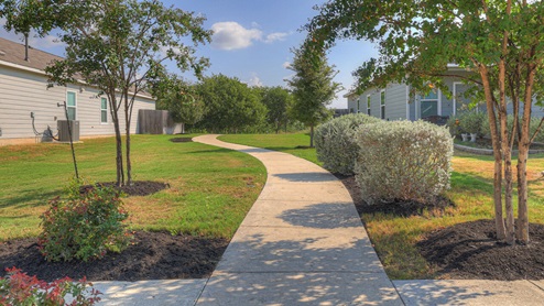 Sunset Oaks walking trails.