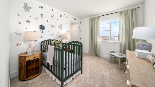 Sparrow nursery styled bedroom with natural light