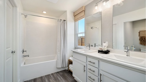 Coolidge main suite bathroom