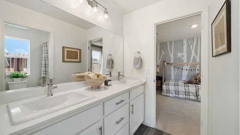 jack and jill bathroom