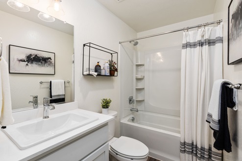 Guest bathroom with tub shower
