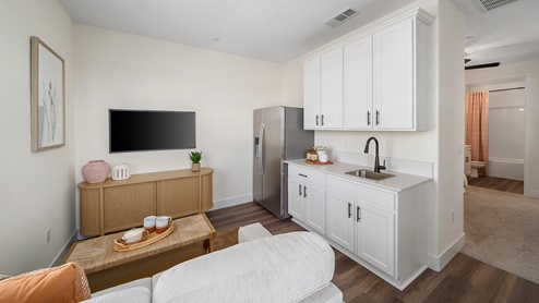 Photo of MultiGEN kitchenette and living room with a couch, counterspace, sink and fridge